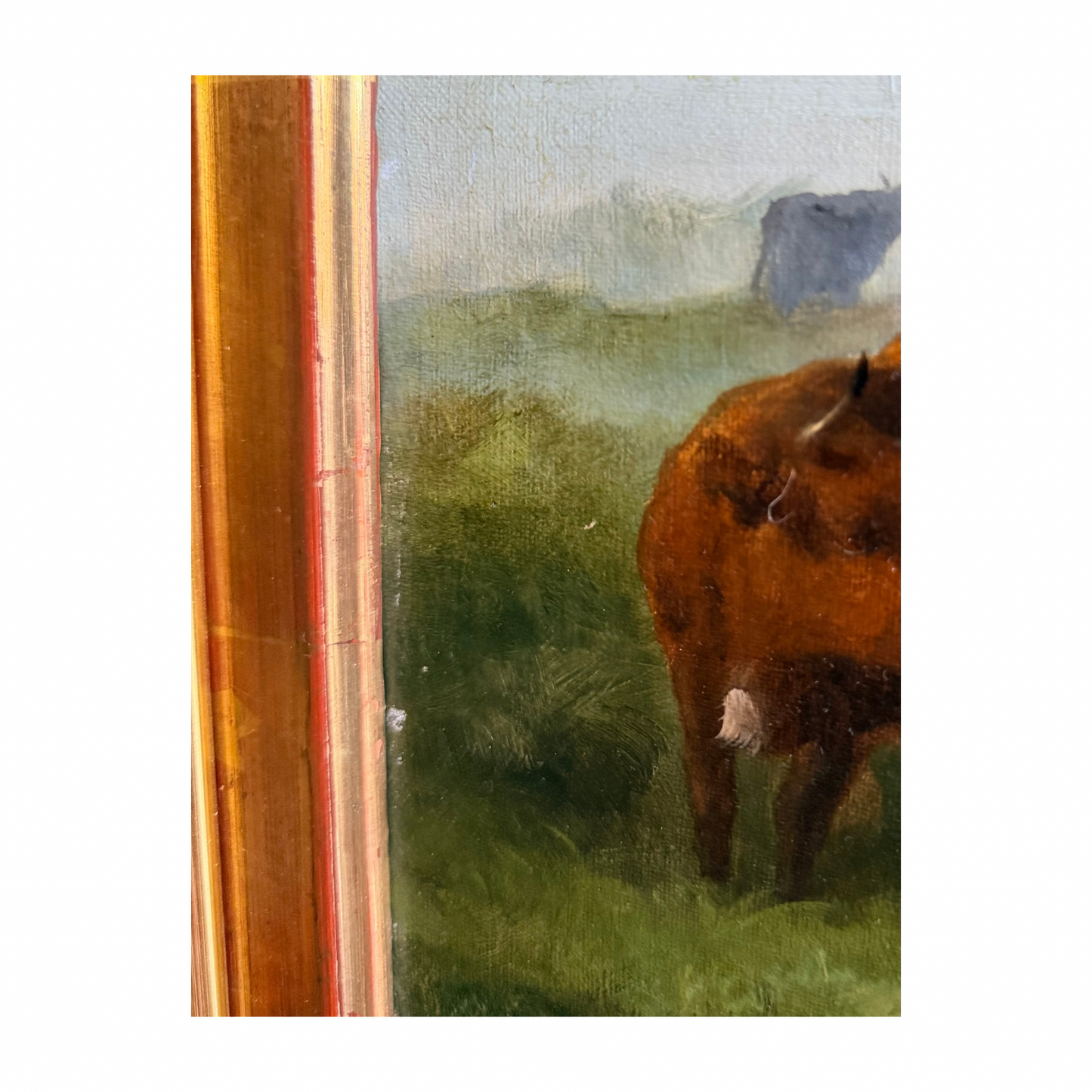 19th century Scottish highland cow painting by George W Horlor