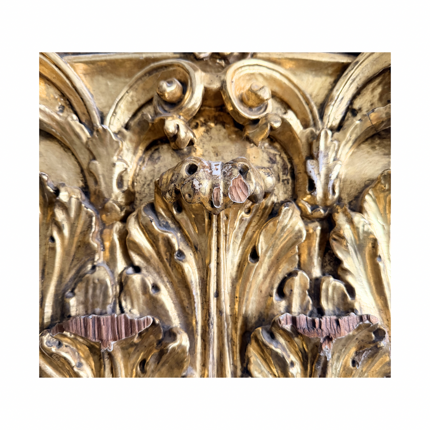 19th century giltwood corinthian capital fragment